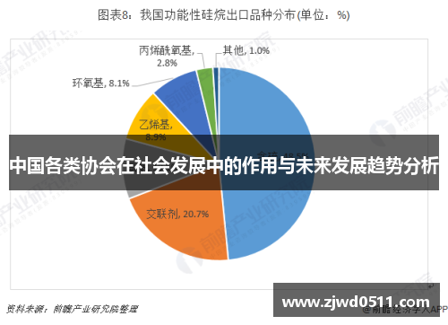 中国各类协会在社会发展中的作用与未来发展趋势分析